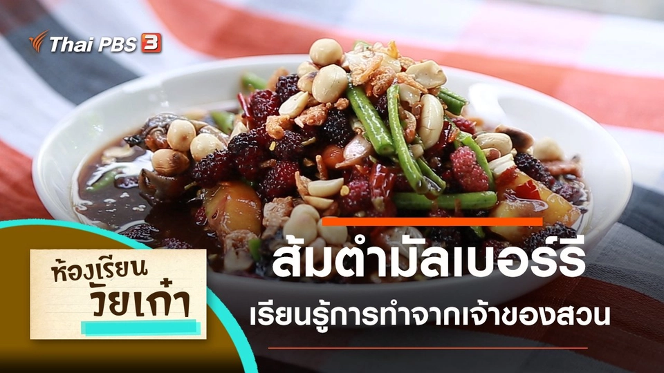 เรียนรู้การทำส้มตำมัลเบอร์รี