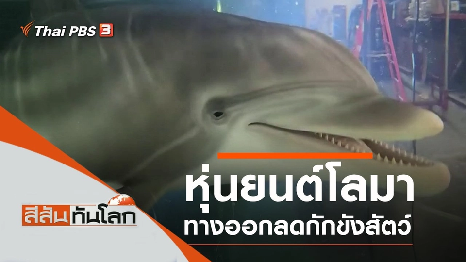 ประเด็นข่าว (17 ต.ค. 63)