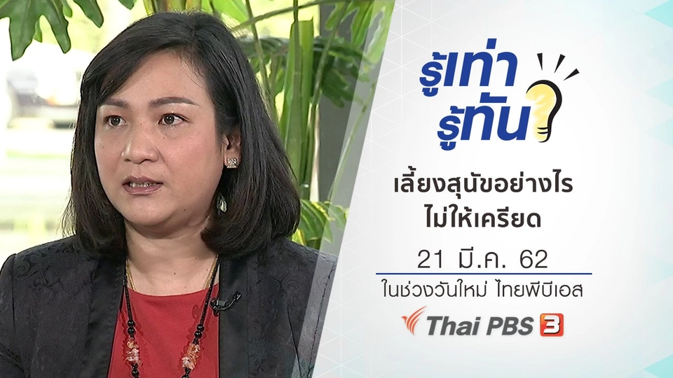 เลี้ยงสุนัขอย่างไรไม่ให้เครียด