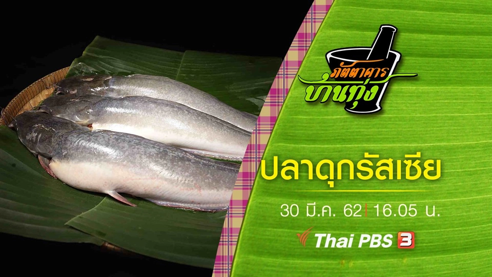 ปลาดุกรัสเซีย