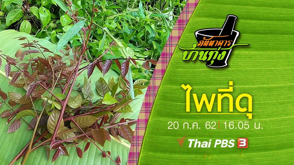 ไพที่ดุ