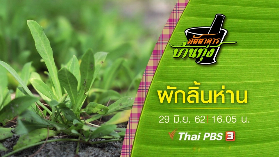 ผักลิ้นห่าน