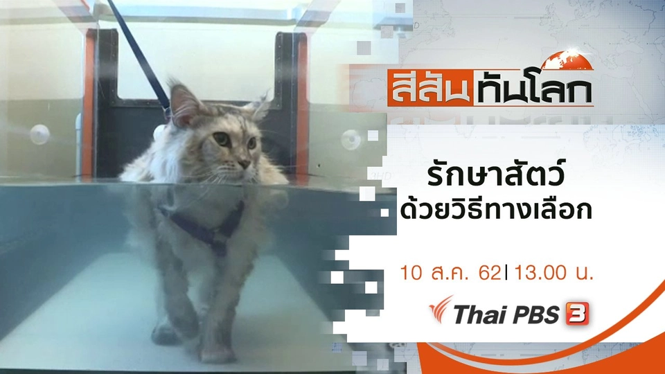 ประเด็นข่าว (10 ส.ค. 62)