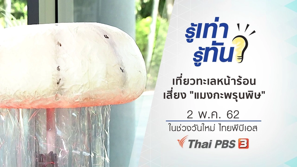 เที่ยวทะเลหน้าร้อนเสี่ยง "แมงกะพรุนพิษ"