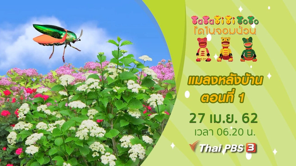 แมลงหลังบ้าน ตอนที่ 1