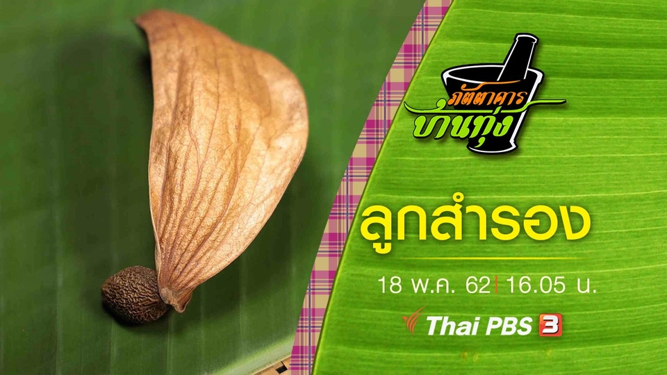 ลูกสำรอง