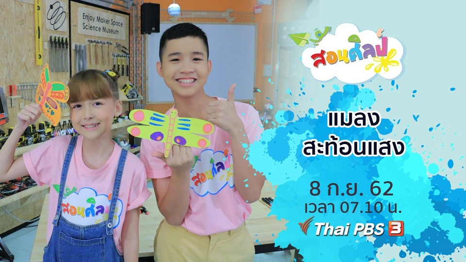 แมลงสะท้อนแสง