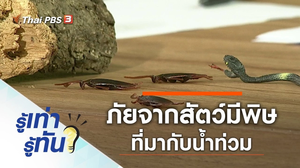 ภัยจากสัตว์มีพิษที่มากับน้ำท่วม