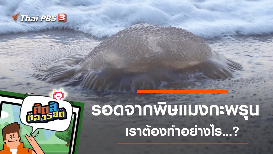 รอดจากพิษแมงกะพรุน