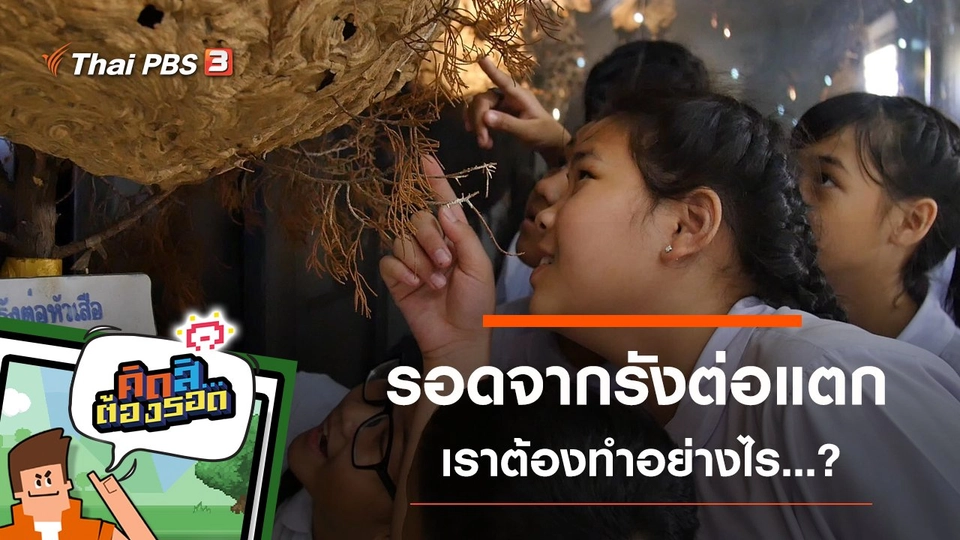 รอดจากรังต่อแตก