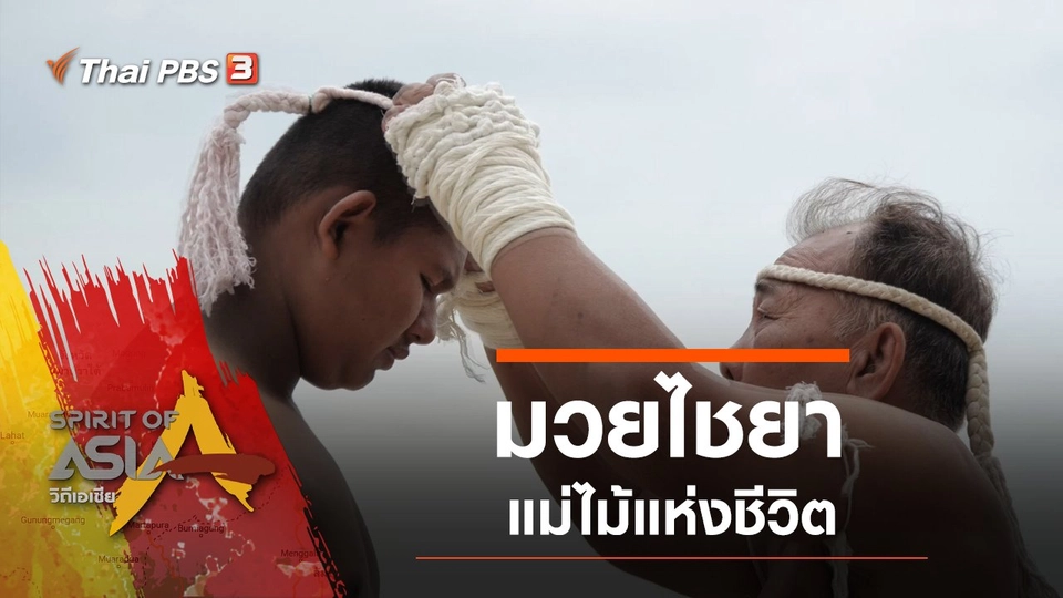 มวยไชยา : แม่ไม้แห่งชีวิต