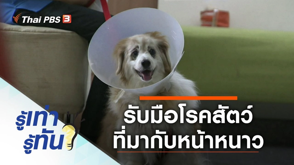 เตรียมรับมือ โรคของสัตว์ที่มากับหน้าหนาว