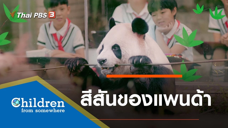 ซีรีส์เด็กนานาชาติ : สีสันของแพนด้า