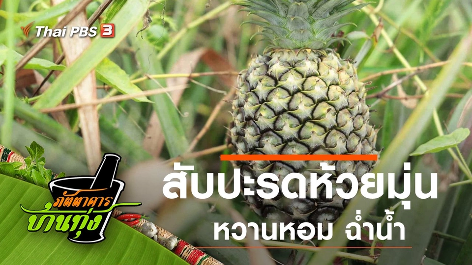 สับปะรดห้วยมุ่น