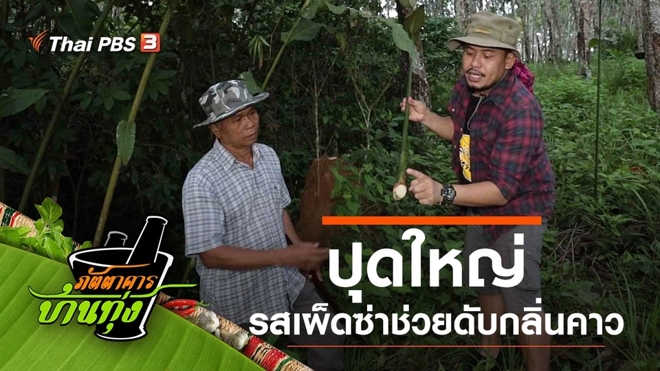 ปุดใหญ่