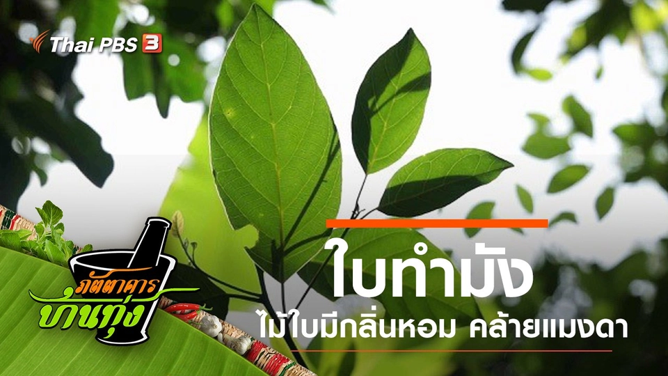 ใบทำมัง