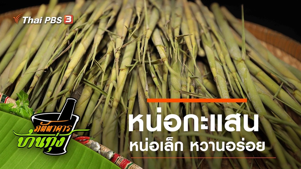 หน่อกะแสน