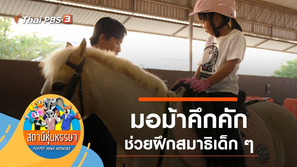 มอม้าคึกคัก