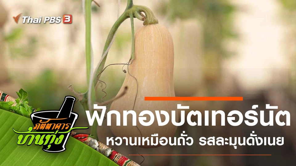 ฟักทองบัตเทอร์นัต