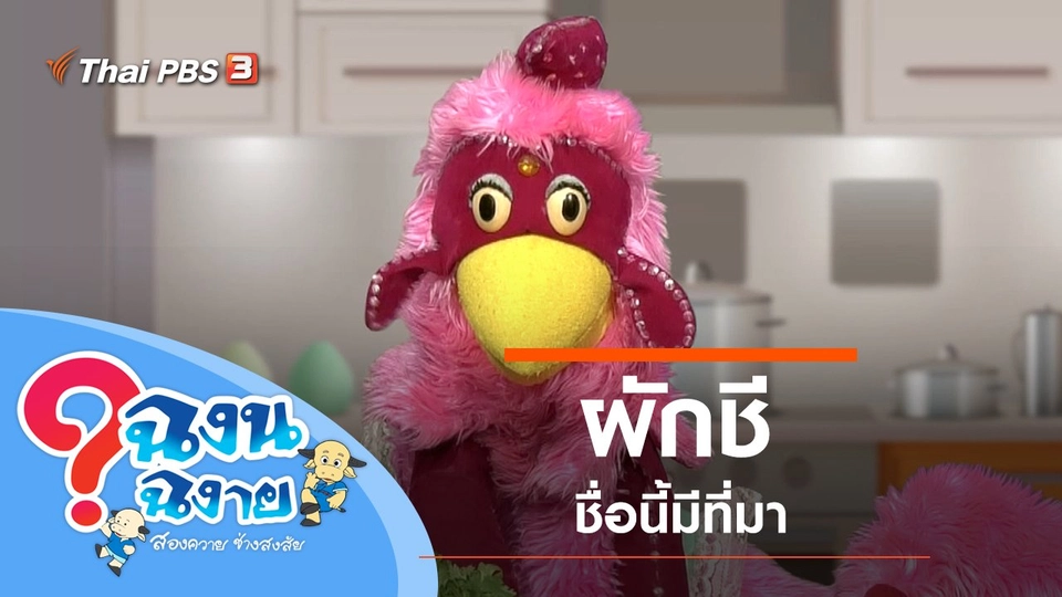 ผักชี ชื่อนี้มีที่มา