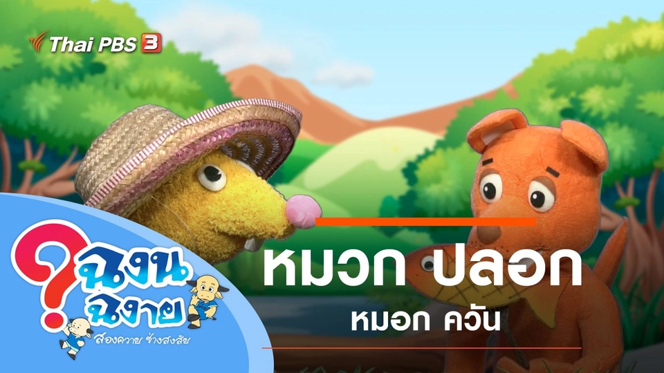 หมวก ปลอก หมอก ควัน