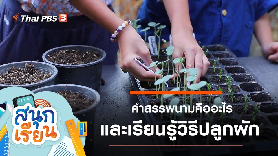 คำสรรพนามคืออะไร และเรียนรู้วิธีปลูกผัก