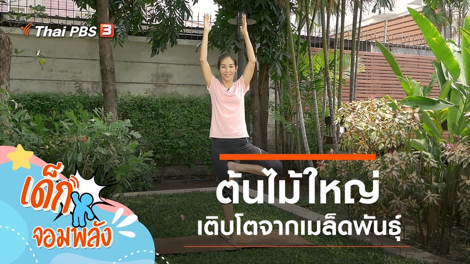 กว่าจะเป็นต้นไม้ใหญ่