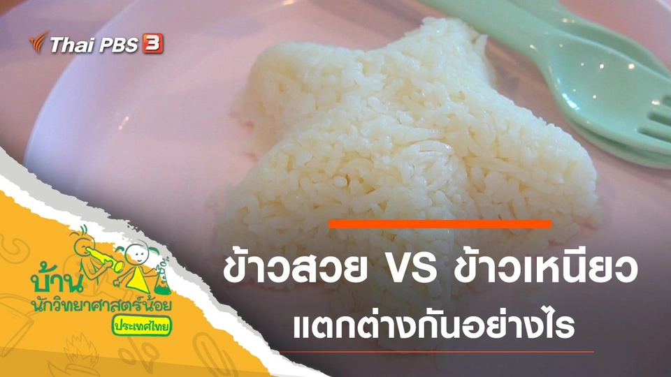 ข้าวสวย VS ข้าวเหนียว