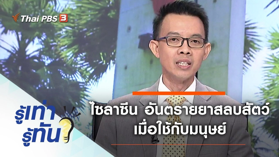 ไซลาซีน อันตรายยาสลบสัตว์เมื่อใช้กับมนุษย์