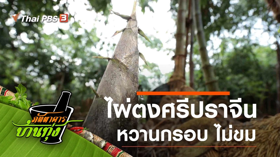 ไผ่ตงศรีปราจีน