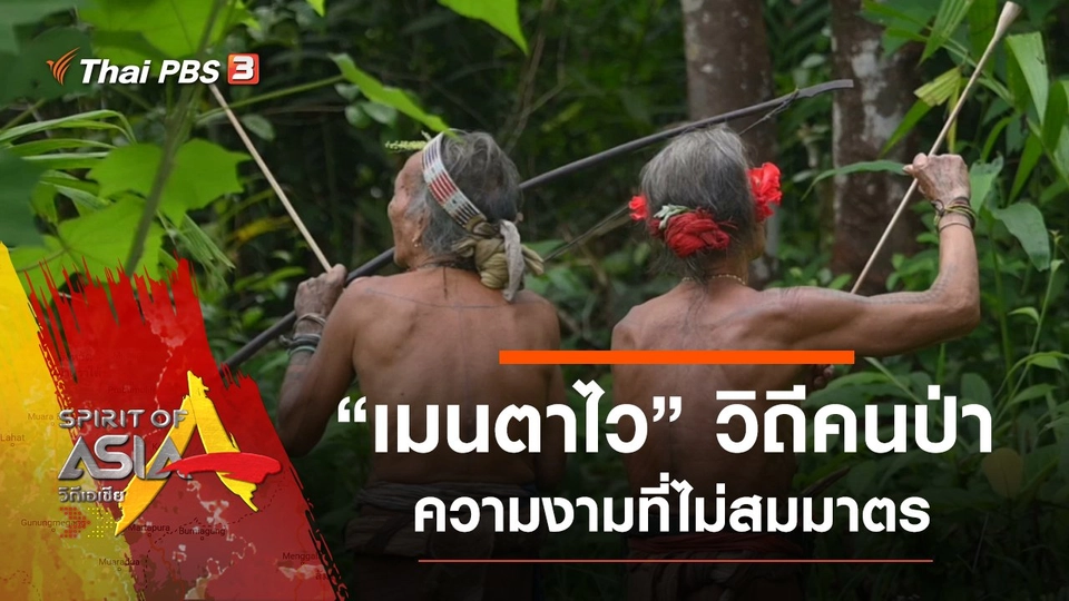 เมนตาไว วิถีคนป่าความงามที่ไม่สมมาตร