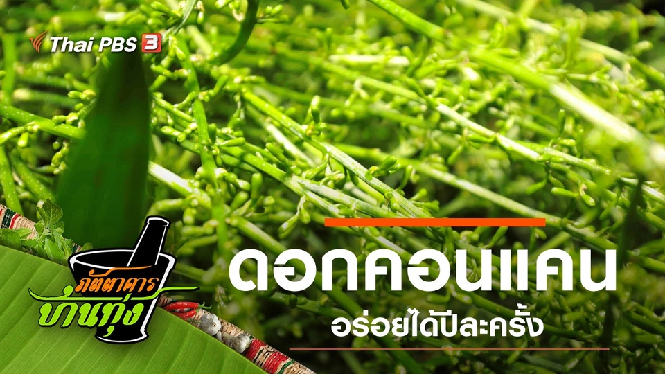 ดอกคอนแคน