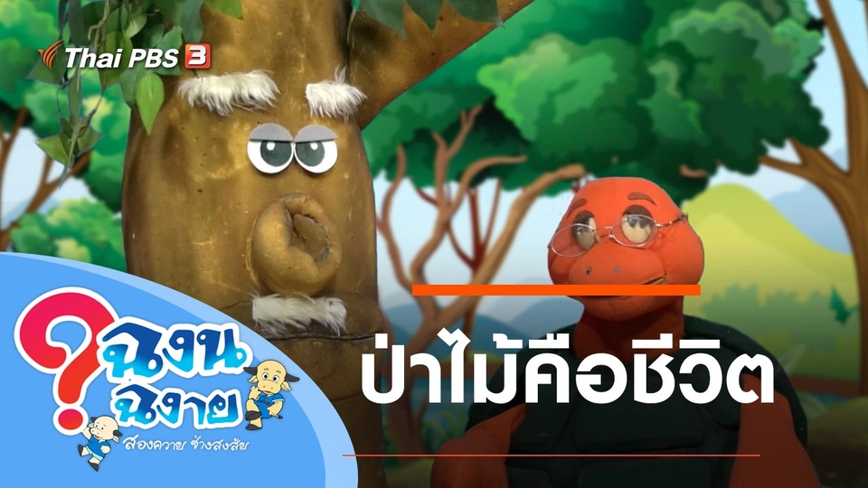 ป่าไม้คือชีวิต