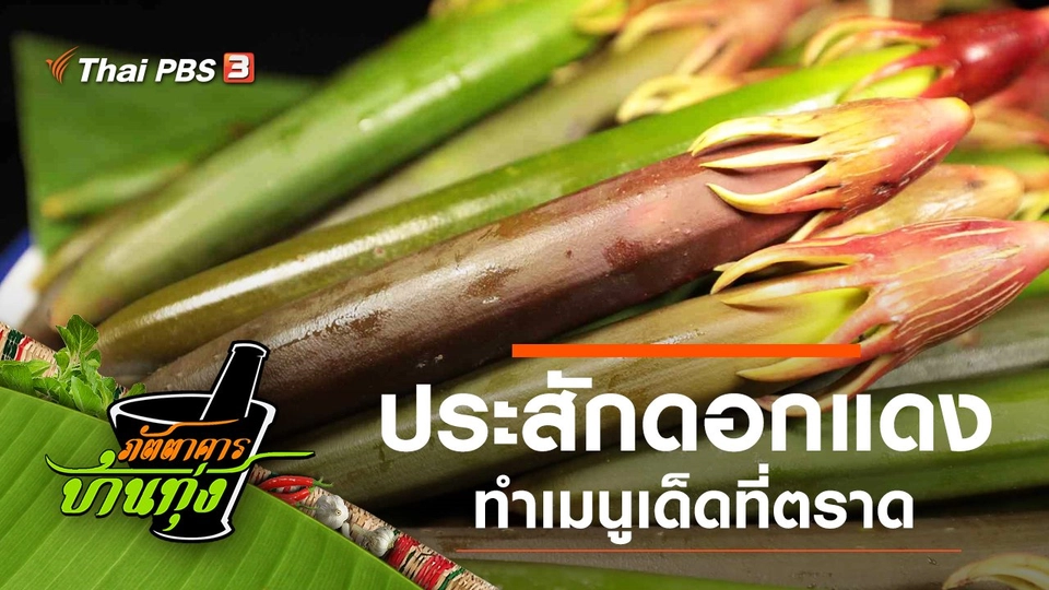 ประสักดอกแดง