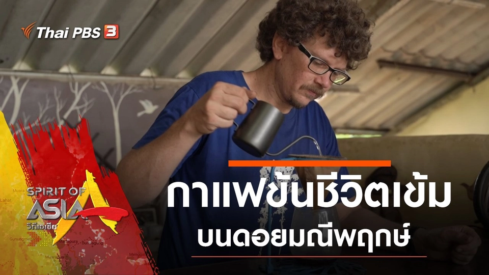 กาแฟข้นชีวิตเข้มบนดอยมณีพฤกษ์