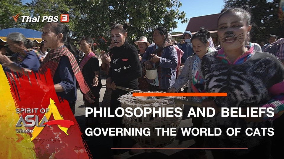 PHILOSOPHIES AND BELIEFS GOVERNING THE WORLD OF CATS