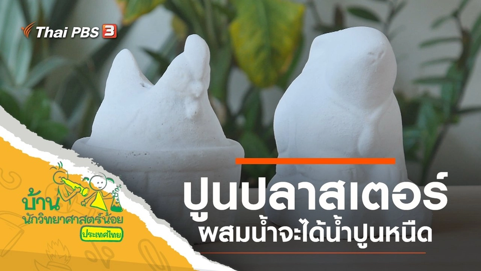 ปูนปลาสเตอร์