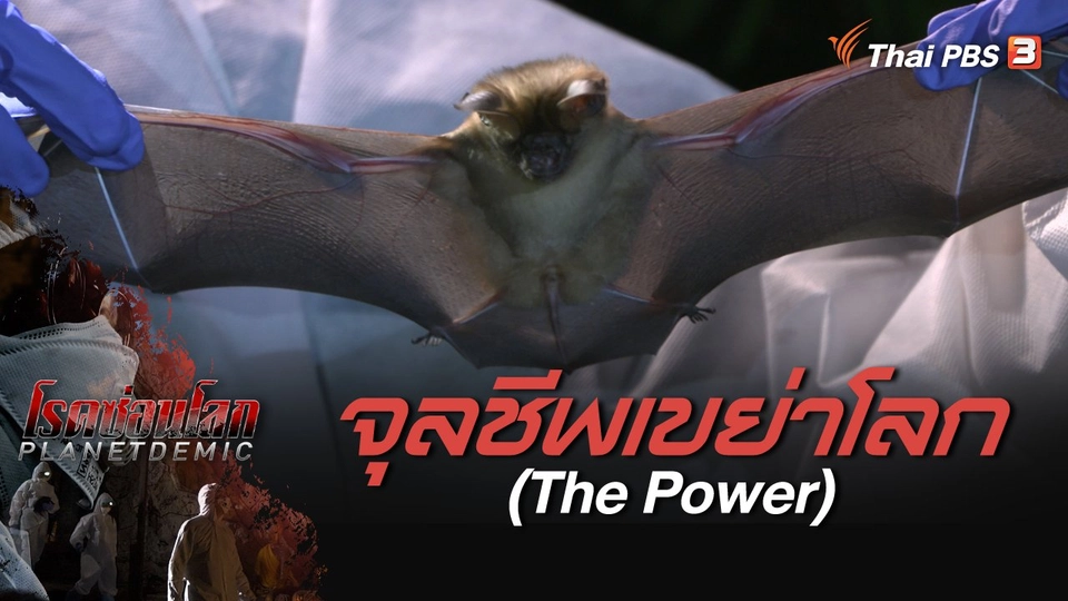 PLANETDEMIC : จุลชีพเขย่าโลก (The Power)
