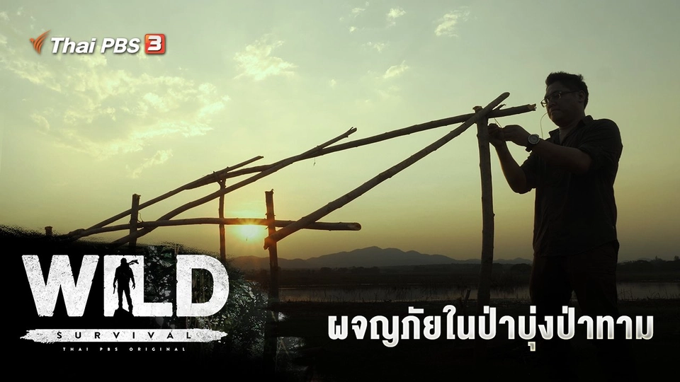 ผจญภัยในป่าบุ่งป่าทาม