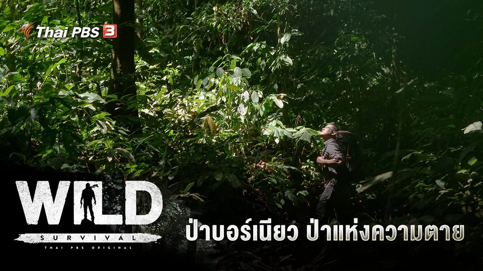 ป่าบอร์เนียว ป่าแห่งความตาย