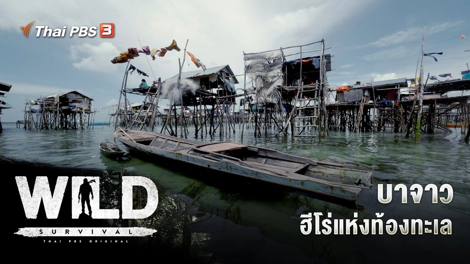 บาจาว ฮีโร่แห่งท้องทะเล