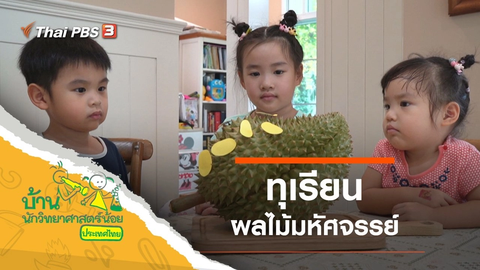 ​ทุเรียน ผลไม้มหัศจรรย์