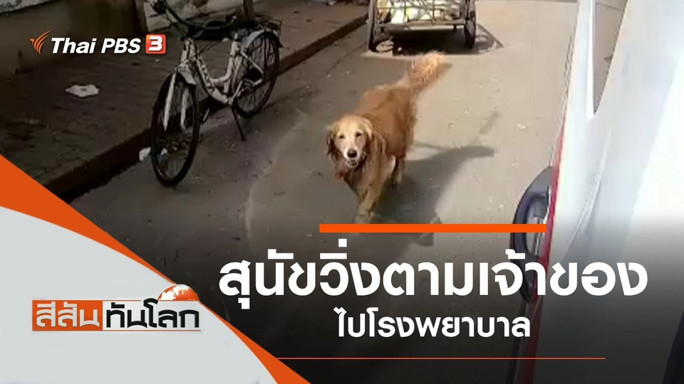 ประเด็นข่าว (12 มิ.ย. 64)