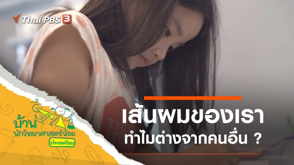 เส้นผมของเรา