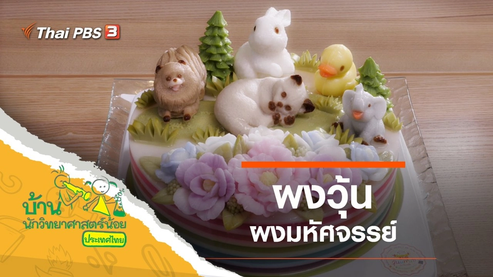 ผงวุ้นมหัศจรรย์