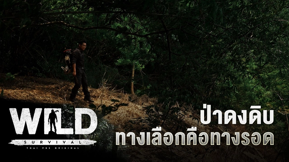 ป่าดงดิบ ทางเลือกคือทางรอด