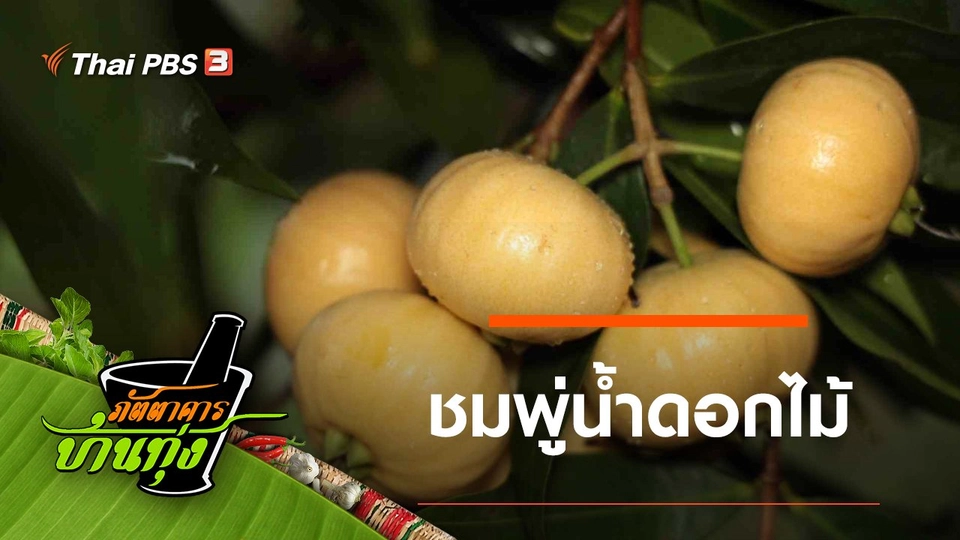 ชมพู่น้ำดอกไม้