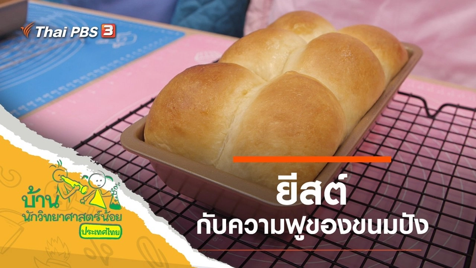 ยีสต์ฟู้ฟู