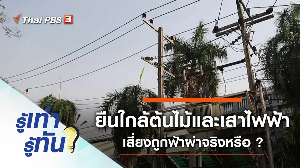 ยืนใกล้ต้นไม้และเสาไฟฟ้า เสี่ยงถูกฟ้าผ่าจริงหรือ ?