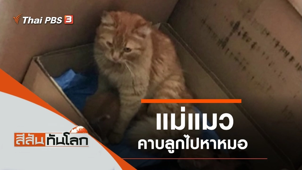 ประเด็นข่าว (3 เม.ย. 64)